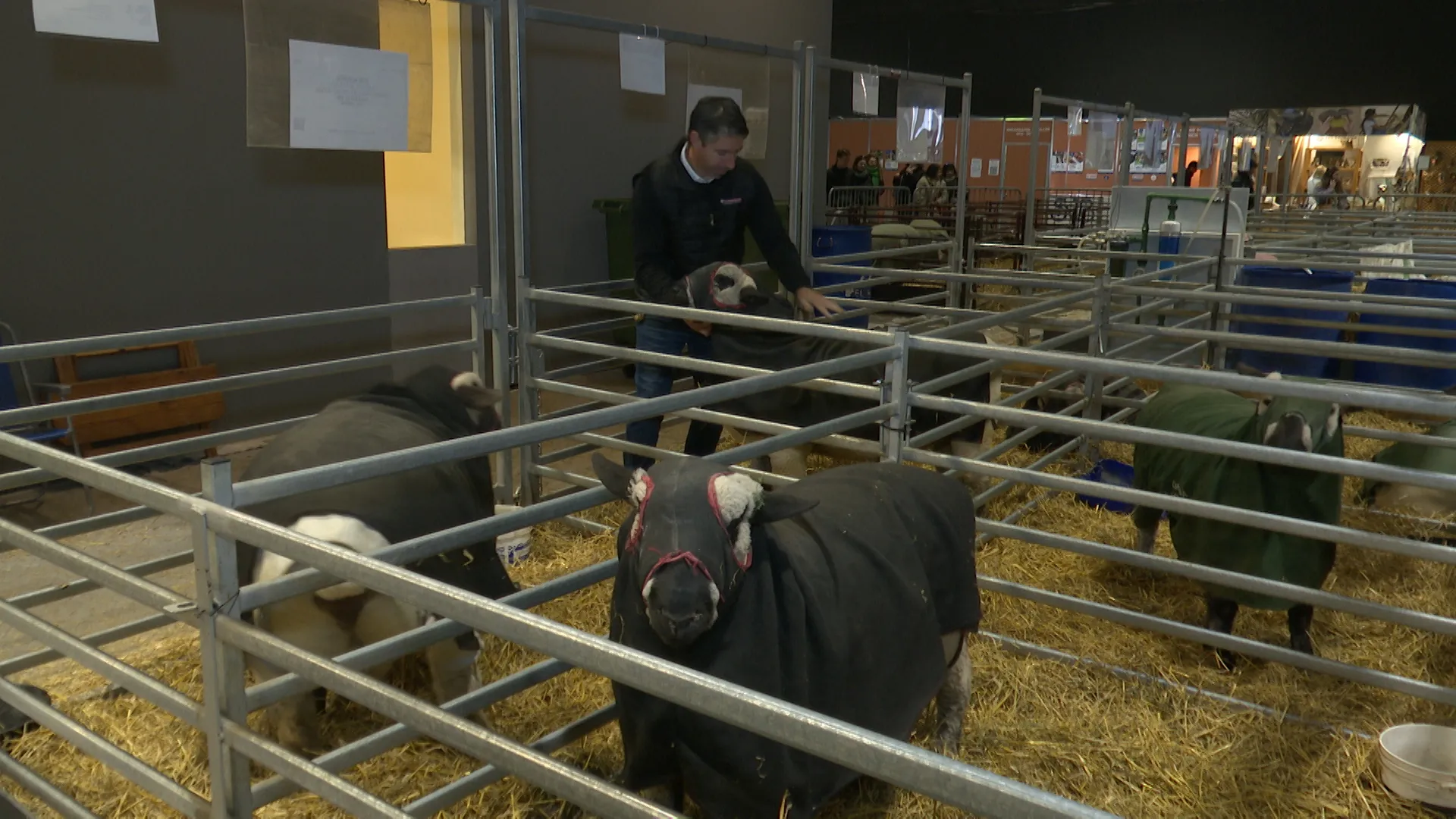 multimedia.grande.84ce4d6eefde25dc.Z3JhbmRlLndlYnA%3D