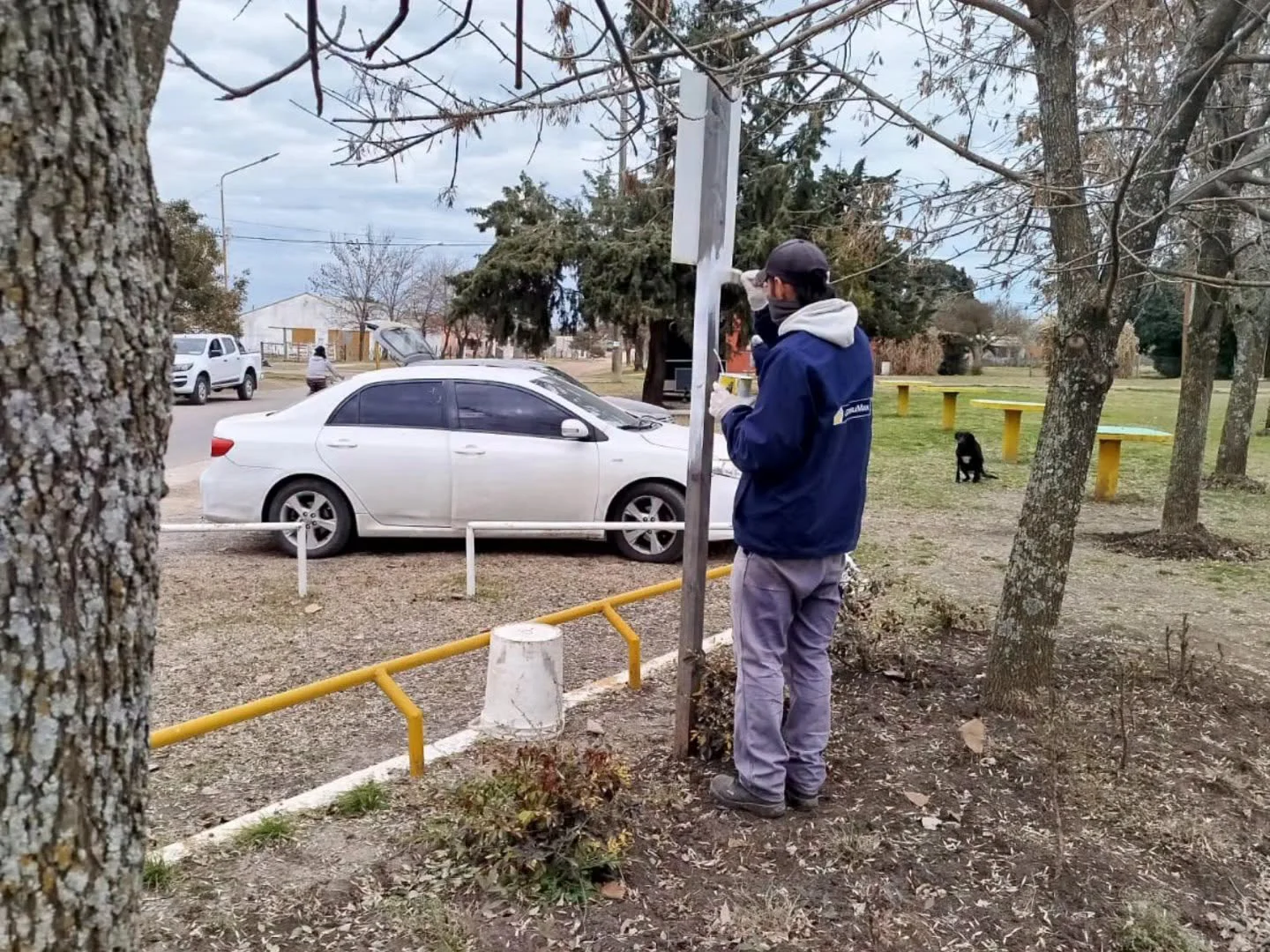 Renuevan espacios públicos de la ciudad con tareas de pintura y mantenimiento