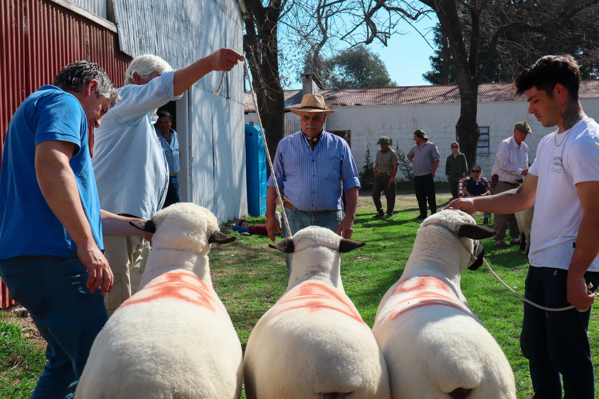 multimedia.grande.bf2911493202a414.Z3JhbmRlLndlYnA%3D