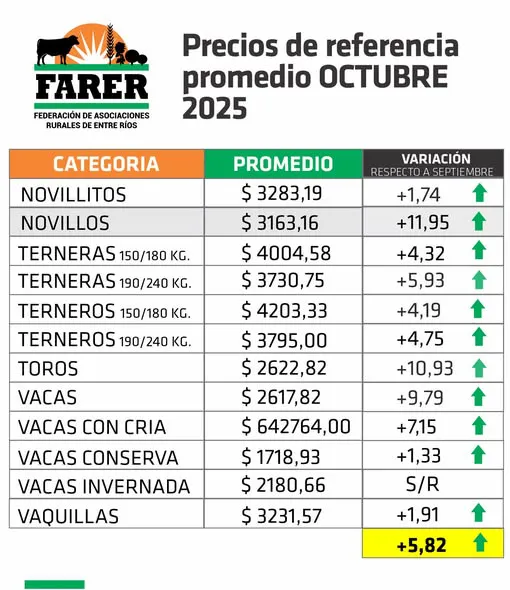 575172584_1237277908430432_5656873688411659389_n