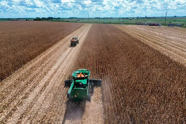 cosecha-maiz-en-Entre-Rios