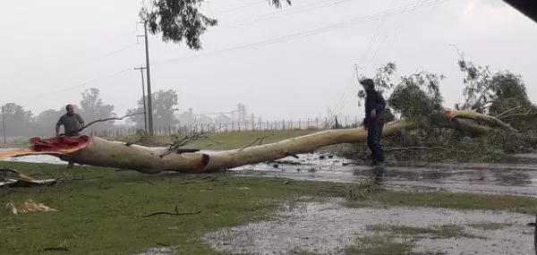 WhatsApp Image 2023-03-29 at 17.16.40