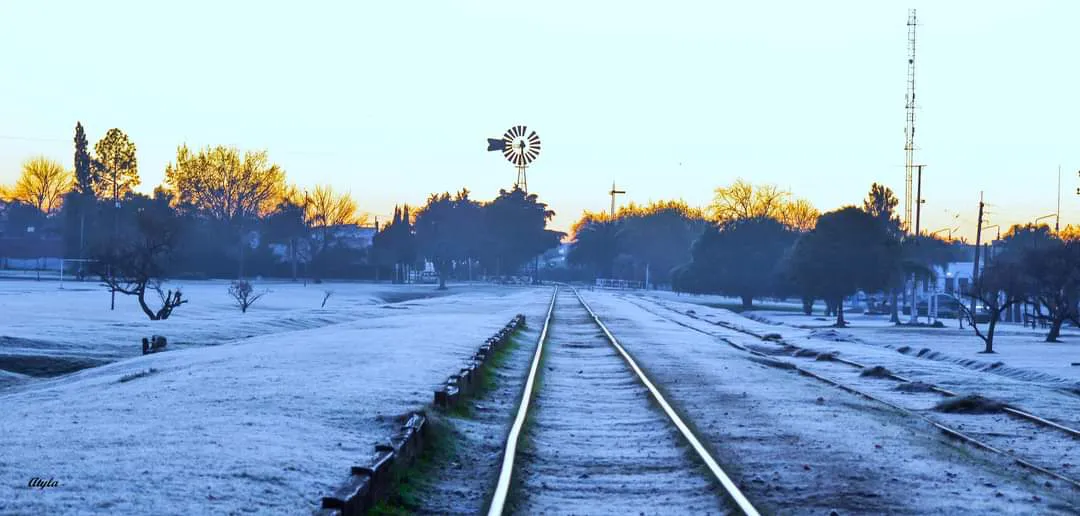 WhatsApp Image 2024-07-11 at 11.28.46