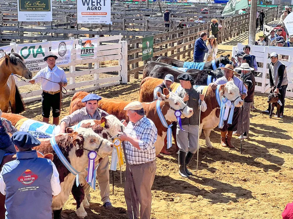 522646295_1269736105162756_3728487597010247229_n