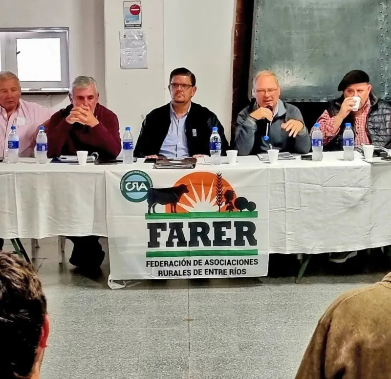 FARER-mayo_1-800x775