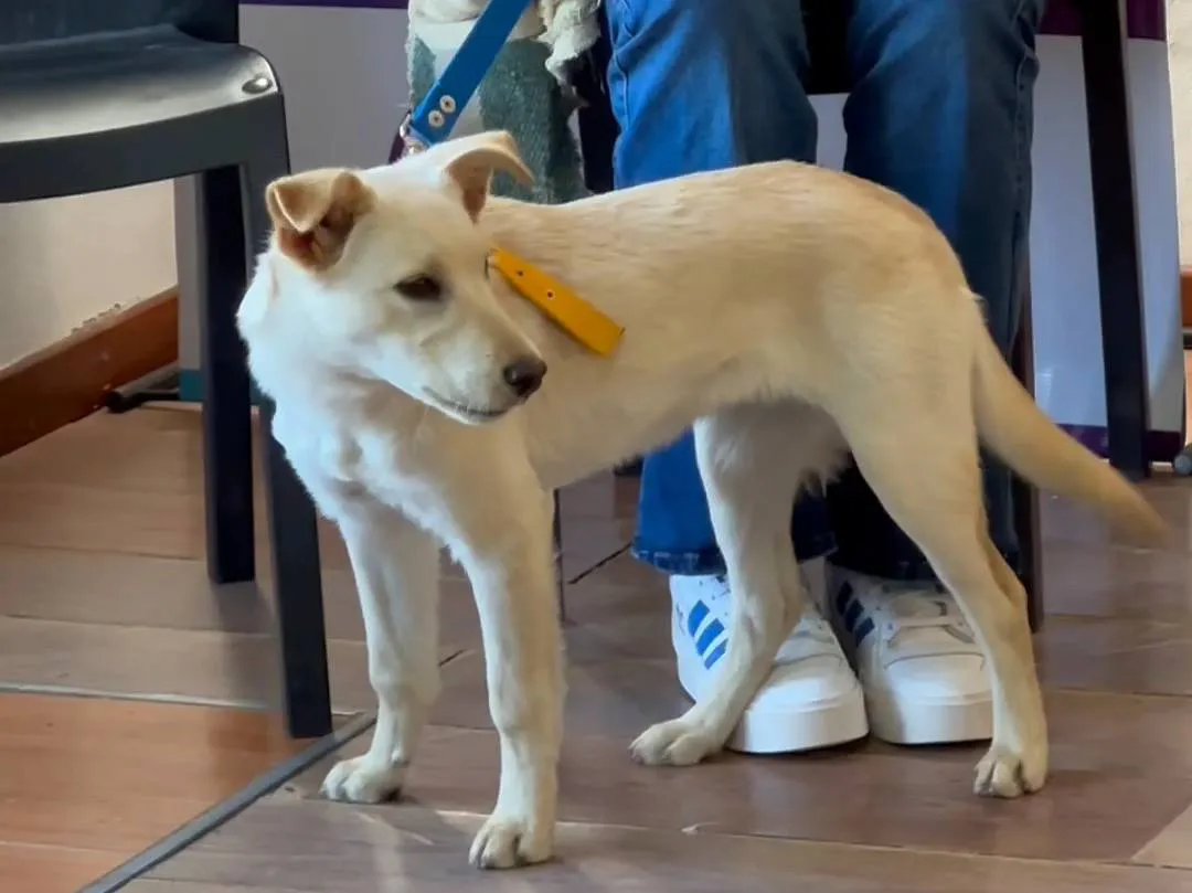 449691528_881966963975430_5879489850588149118_n