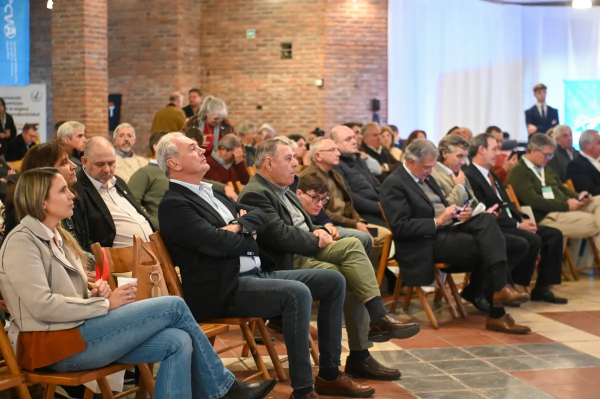 444503610_926796182790085_6332728561596590528_n