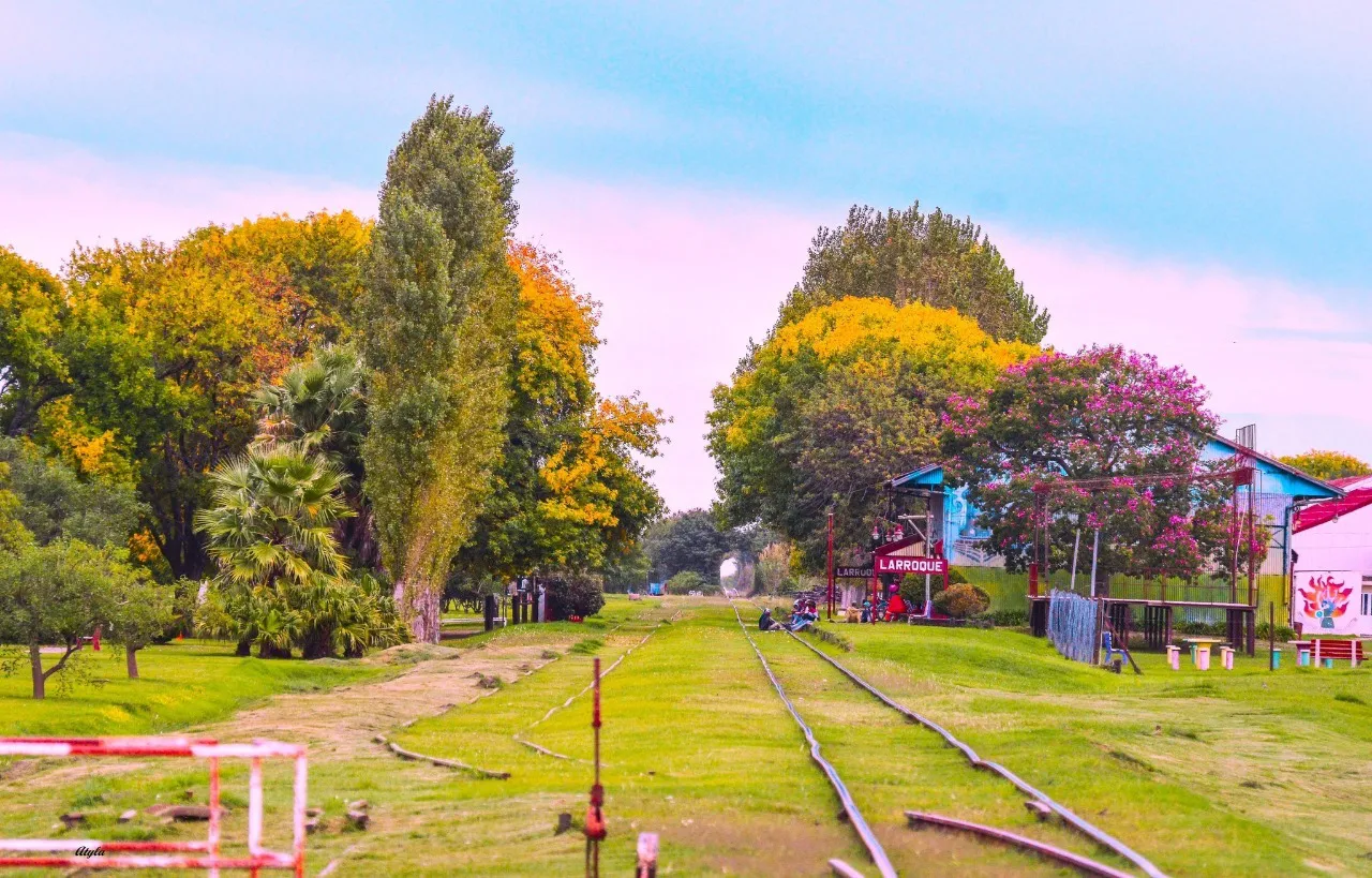 440566180_798880232451292_1773465283030120986_n