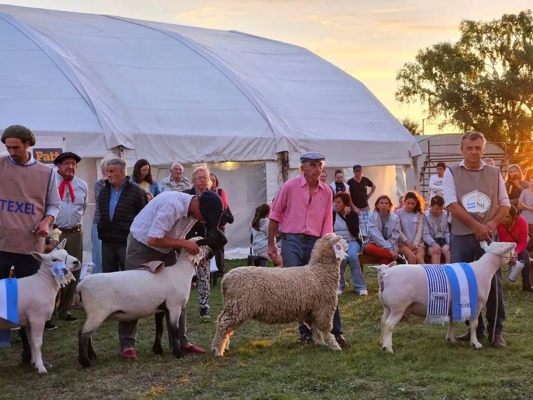 #ExpoOvina2024 🐑𝗔𝗹𝗴𝘂𝗻𝗼𝘀 𝗺𝗼𝗺𝗲𝗻𝘁𝗼𝘀 𝗱𝗲𝗹 𝘀𝗲𝗴𝘂𝗻𝗱𝗼 𝗱𝗶́𝗮 𝗱𝗲 𝗘𝘅𝗽𝗼Con(1)