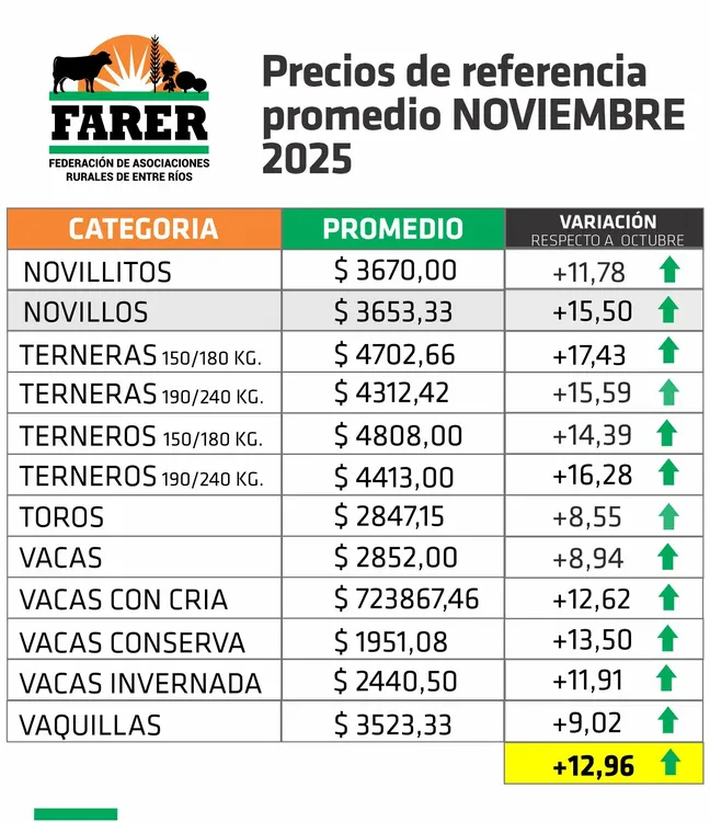 592363236_1259754789516077_5700869194565251792_n