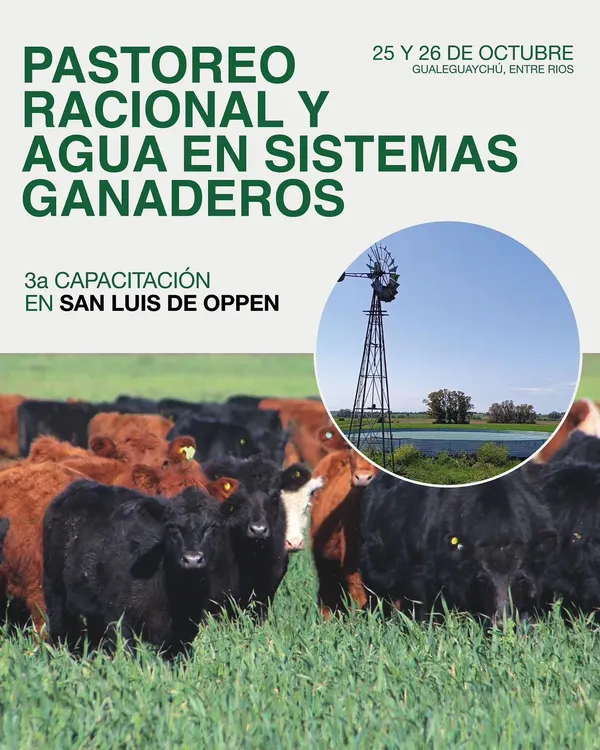 461844334_18056974768760307_6788976500148750380_n