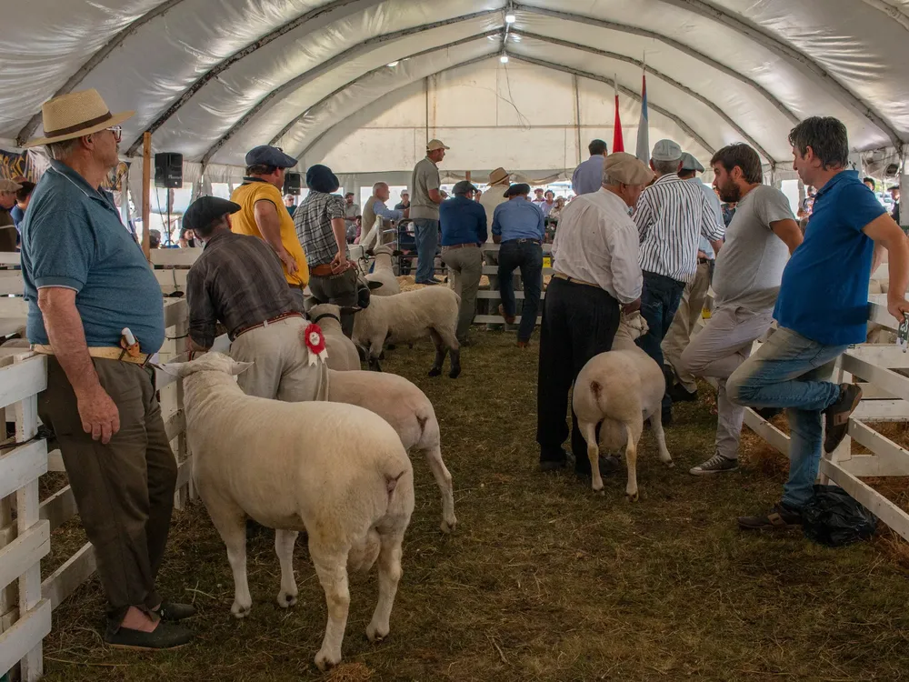 399061484_730186092471795_1834592557791396342_n