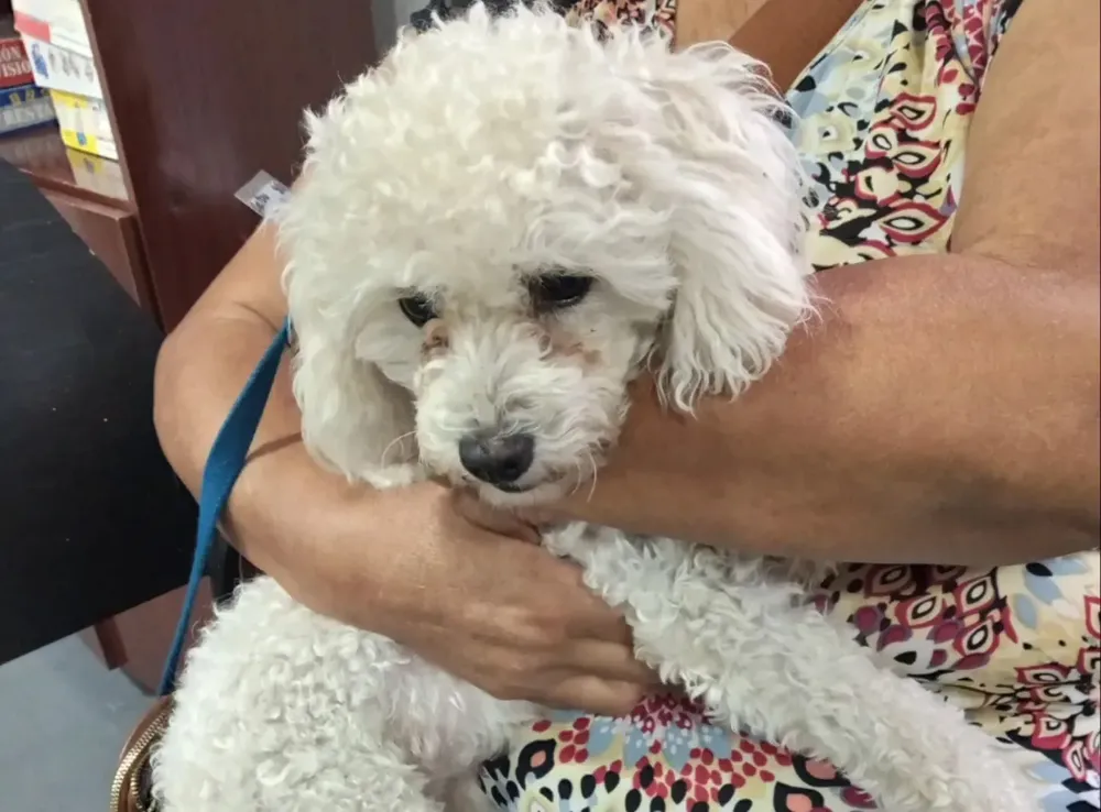 634126941_122214379646336879_2511233988148992728_n