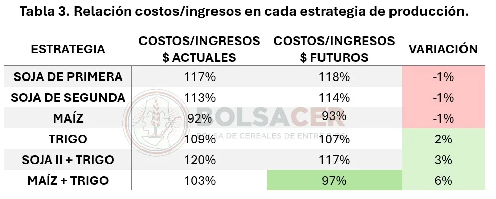 Captura-de-pantalla-2025-01-10-113851
