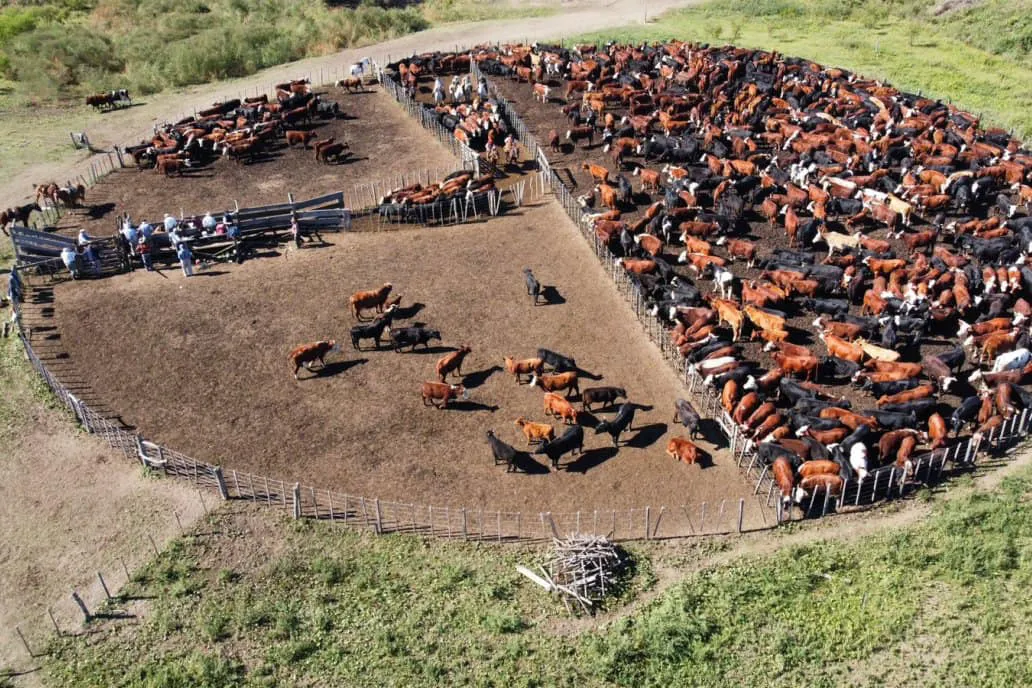 442504591_873228801512618_8815539948175259004_n