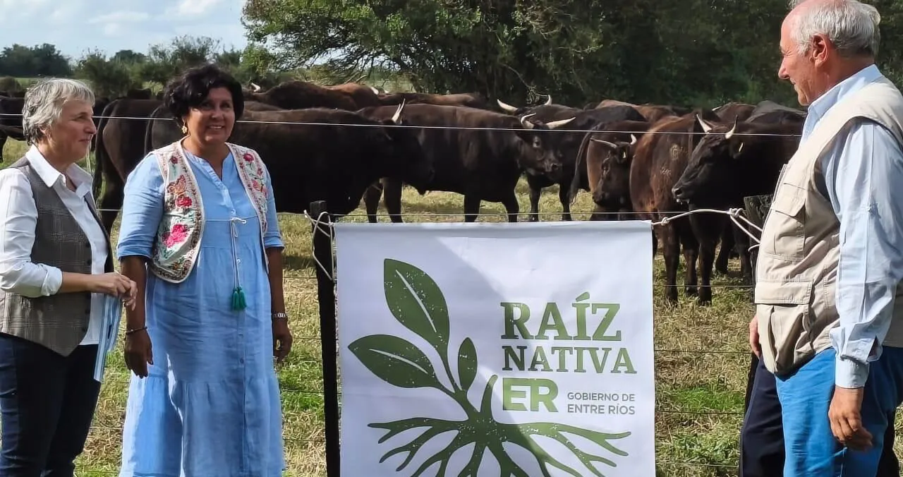 WhatsApp-Image-2025-08-26-at-09.40.25-e1756986523516