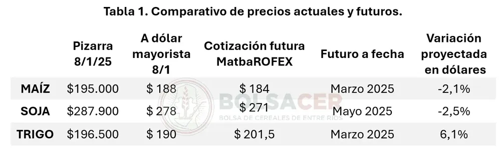 Captura-de-pantalla-2025-01-10-113625