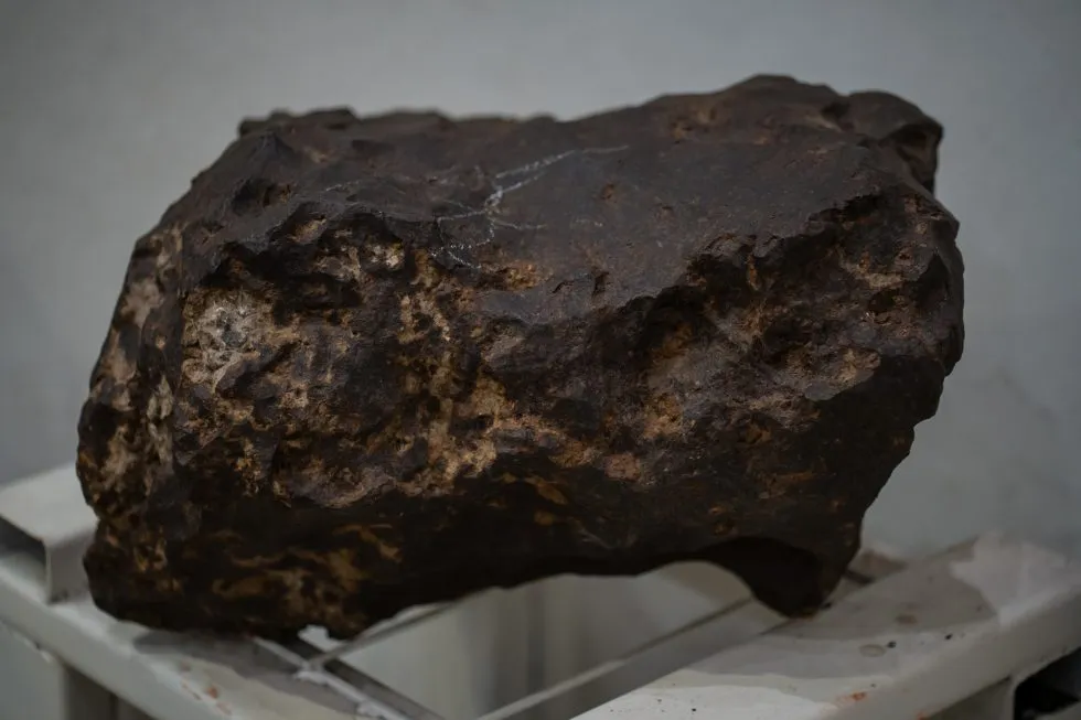 FotoCulturaER-2-980x653