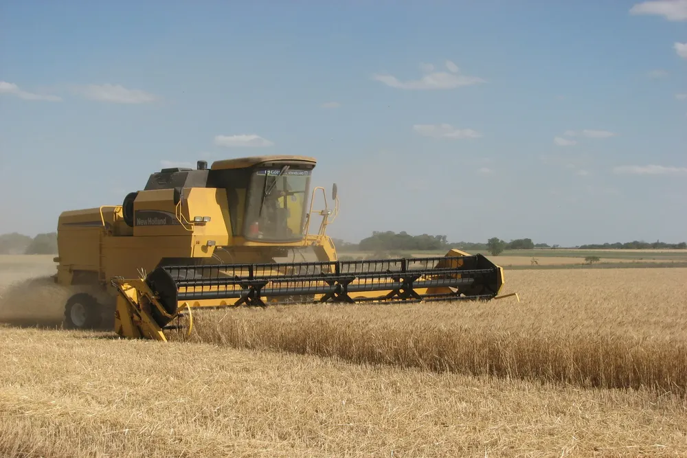 Foto I Trigo IMG_5340