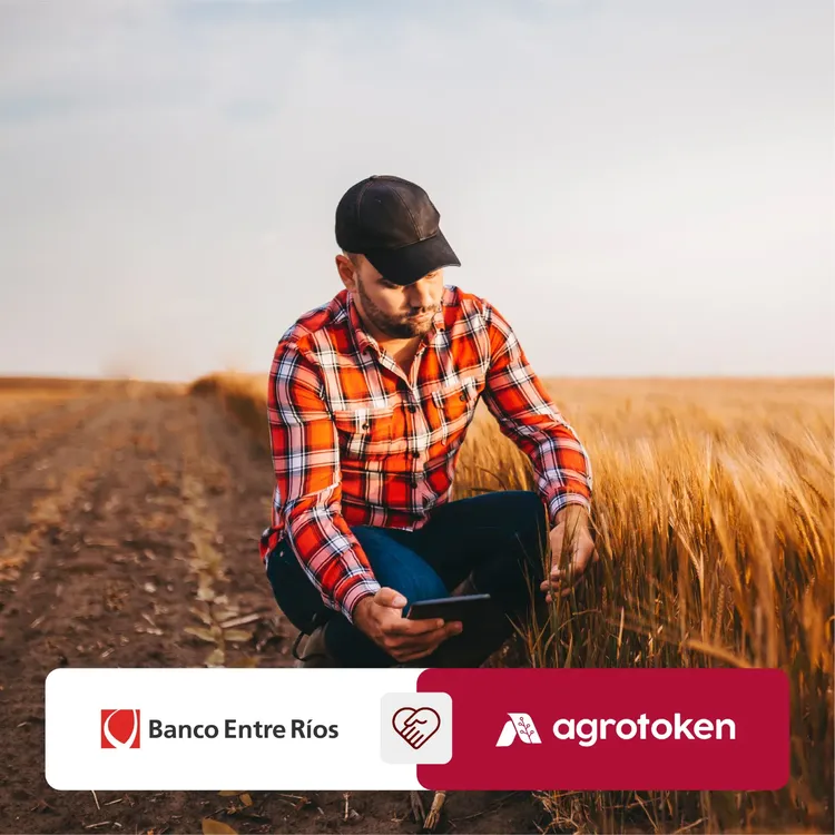 WhatsApp Image 2024-12-16 at 20.19.35