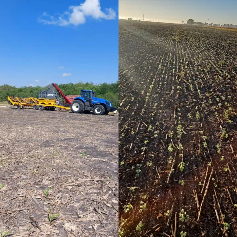 WhatsApp-Image-2025-05-08-at-09.32.18-768x768