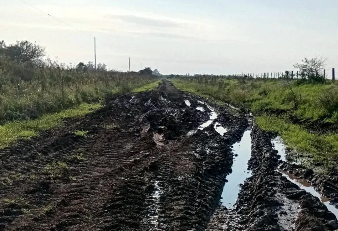 caminos