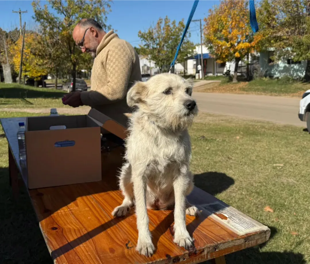 494485337_122175232940336879_8775034280952414820_n