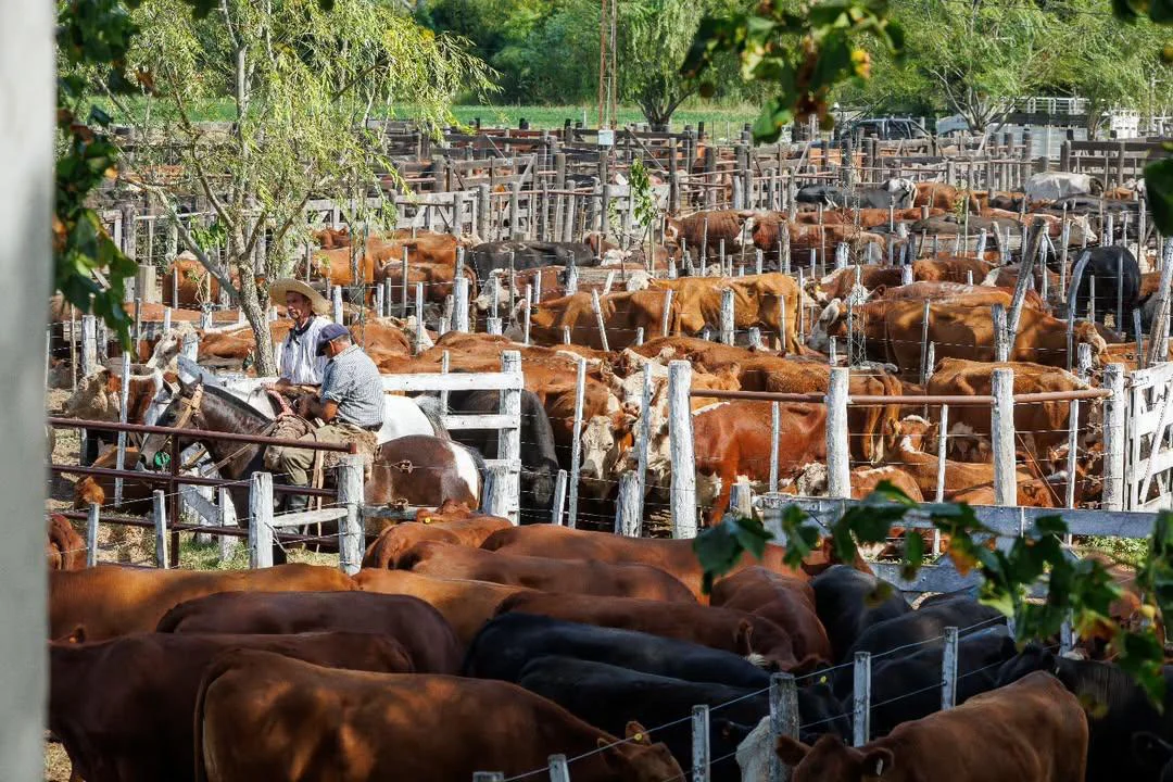 Ricardo Mendizábal Consignaciones SRL (2)(1)