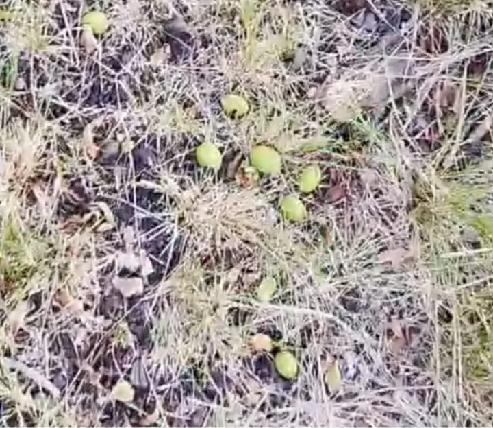 WhatsApp Image 2026-03-19 at 11.21.57 AM