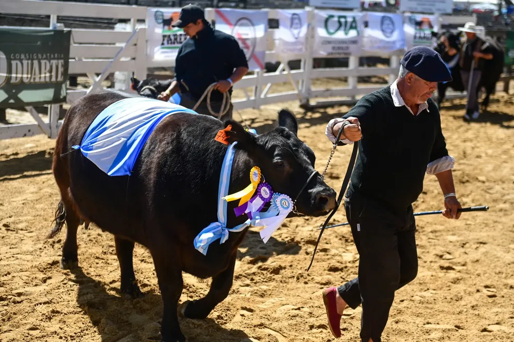 545997906_1205241788304630_8643086543848968752_n