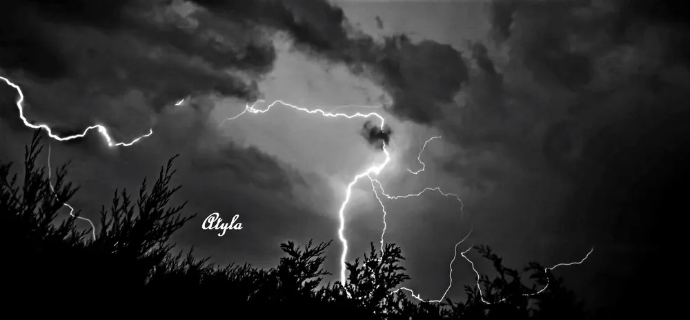 348563940_172771622123557_6458185133434852103_n