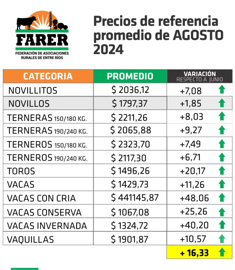 agosto_PRECIOS-DE-HACIENDA-2024-800x919
