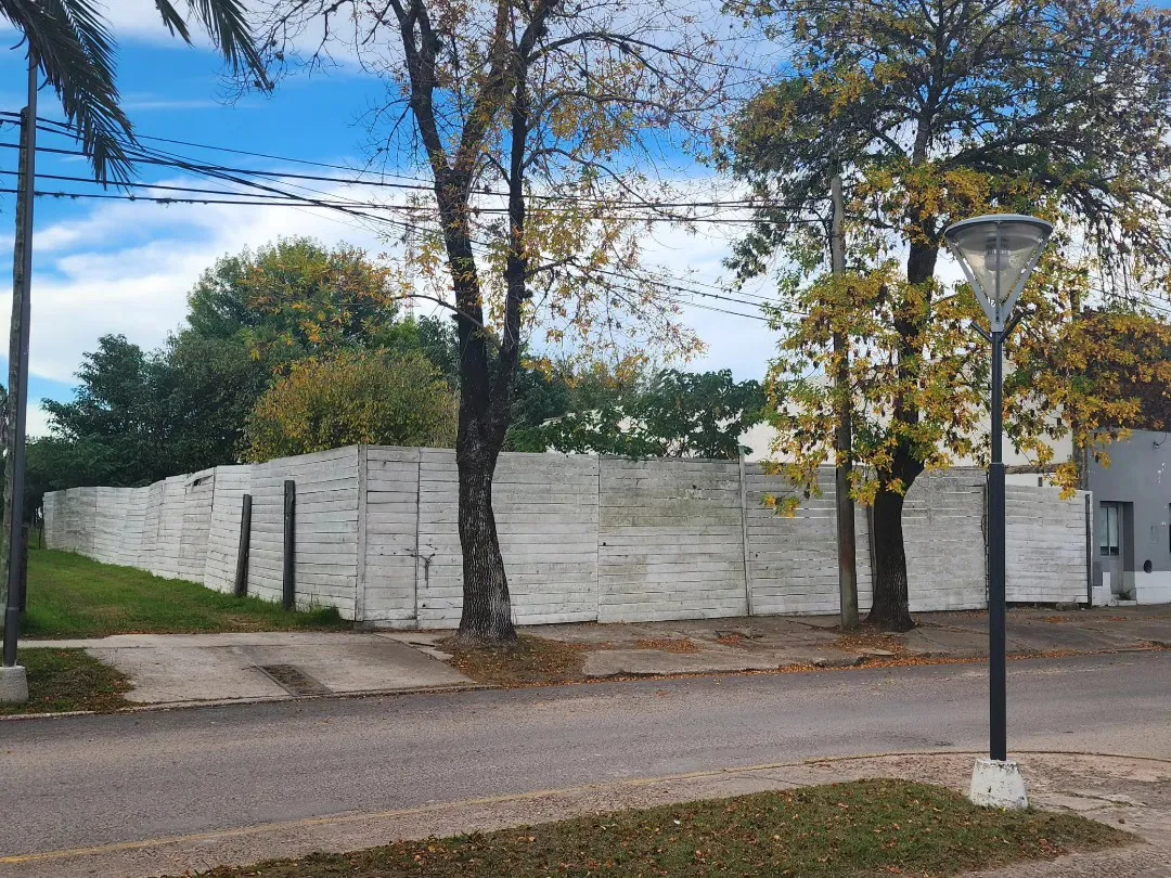 490419816_1088376290001162_4247173343726685839_n