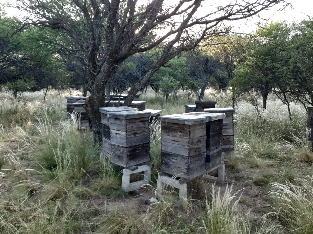 22-09-07_san_luis_apicultura_2