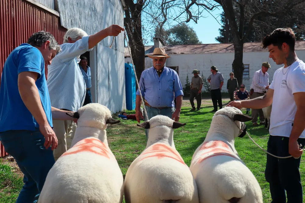 482235753_683126650946901_540901872713107726_n