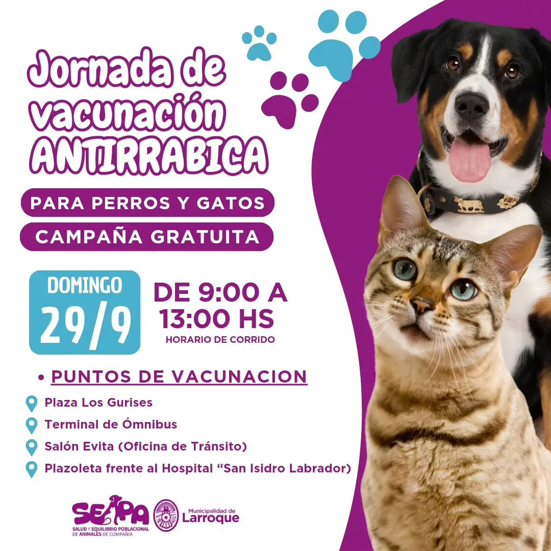 460943038_122136528896336879_548292758031272489_n