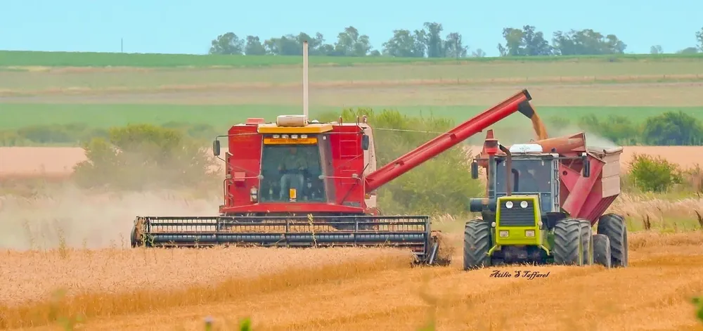 WhatsApp Image 2023-11-21 at 07.49.59