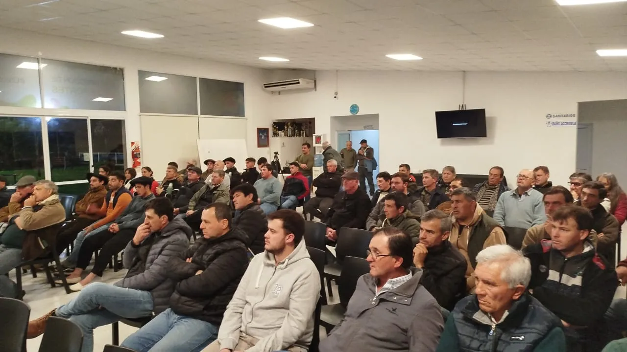 WhatsApp Image 2024-08-09 at 09.27.11