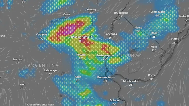 Sin_título-31R1C1 (1)