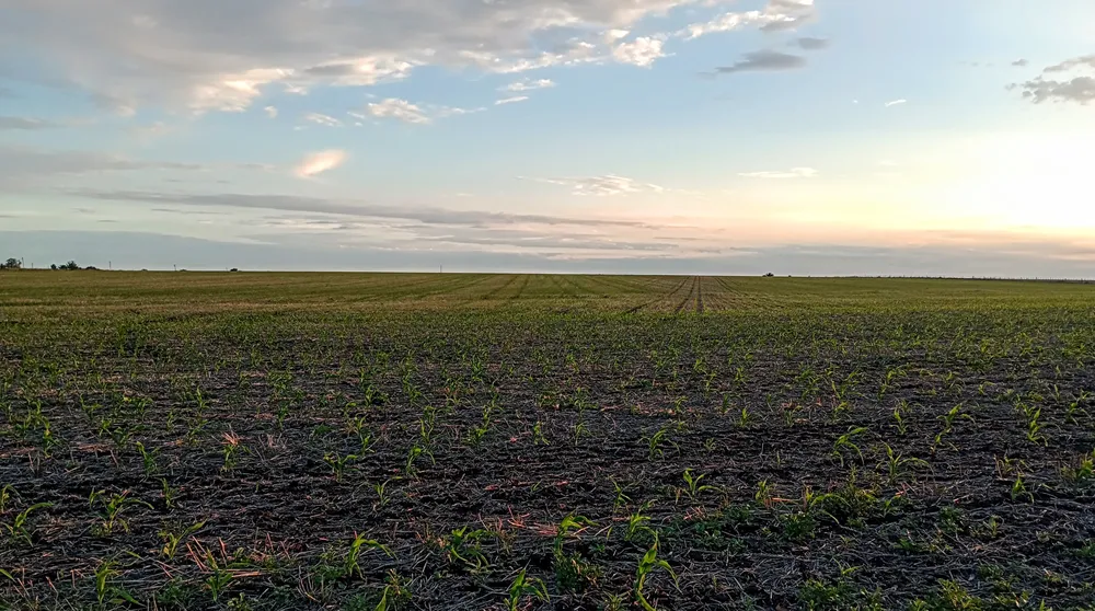 IMG_20241013_184536640