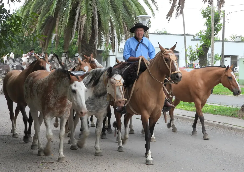 272974421_10226378313273734_6275242251678330068_n