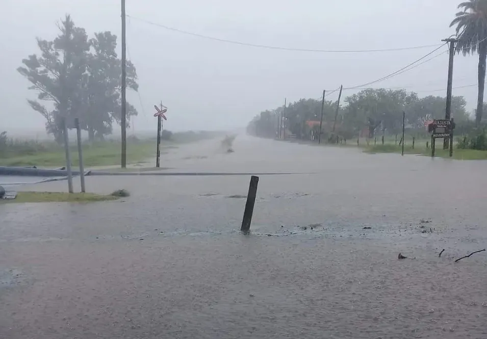 Imagen_de_WhatsApp_2024-03-14_a_las_17.03.32_9f4e1780R1C1