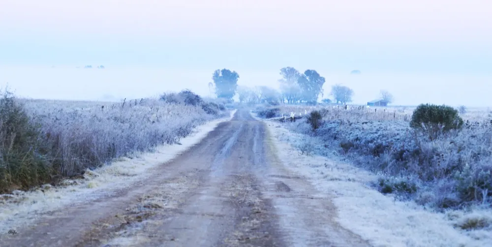 450461383_7887014768079176_7534639182008091900_n