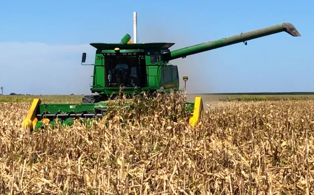 Maíz-cosecha-1-640x398