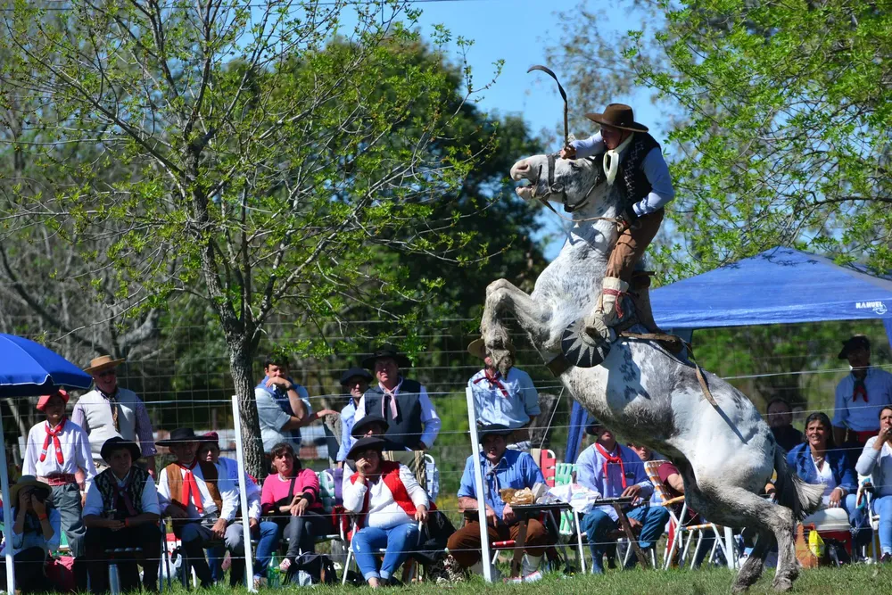 71814779_442130896661231_2323711249986093056_n