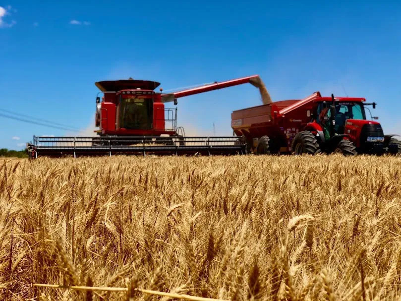 IMG-20201130-WA0005 (1)