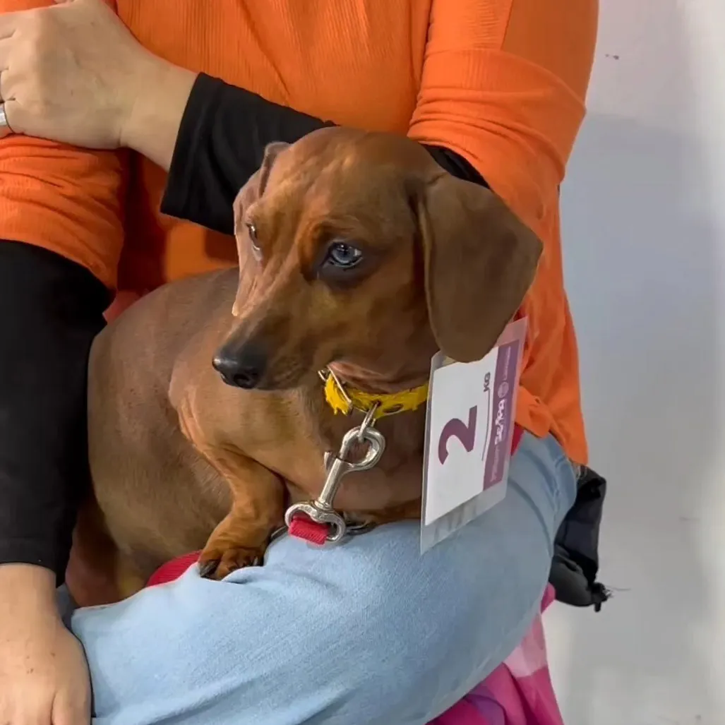 452846583_122124739886336879_678047452554708447_n