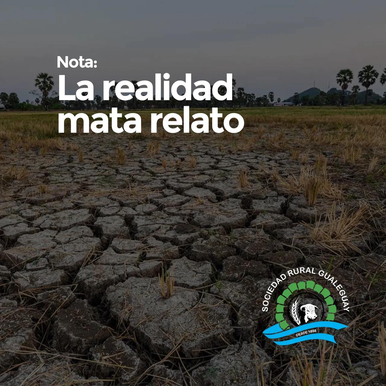 365953581_320408620552041_1915856870140114473_n