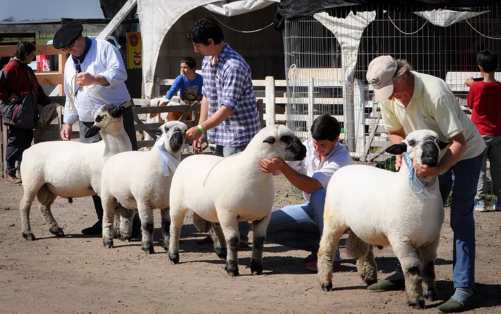 449686433_958643049605398_2294860195810888857_n