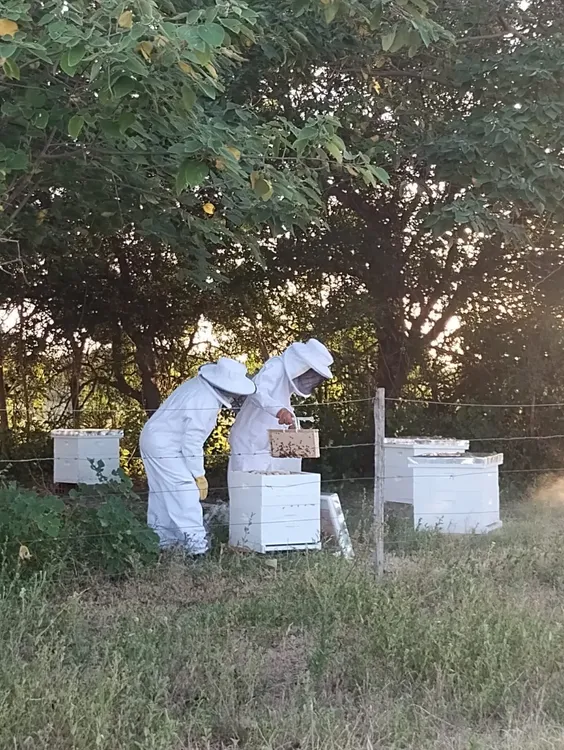 7936e29b-4788-4806-a635-5024a4ed6674